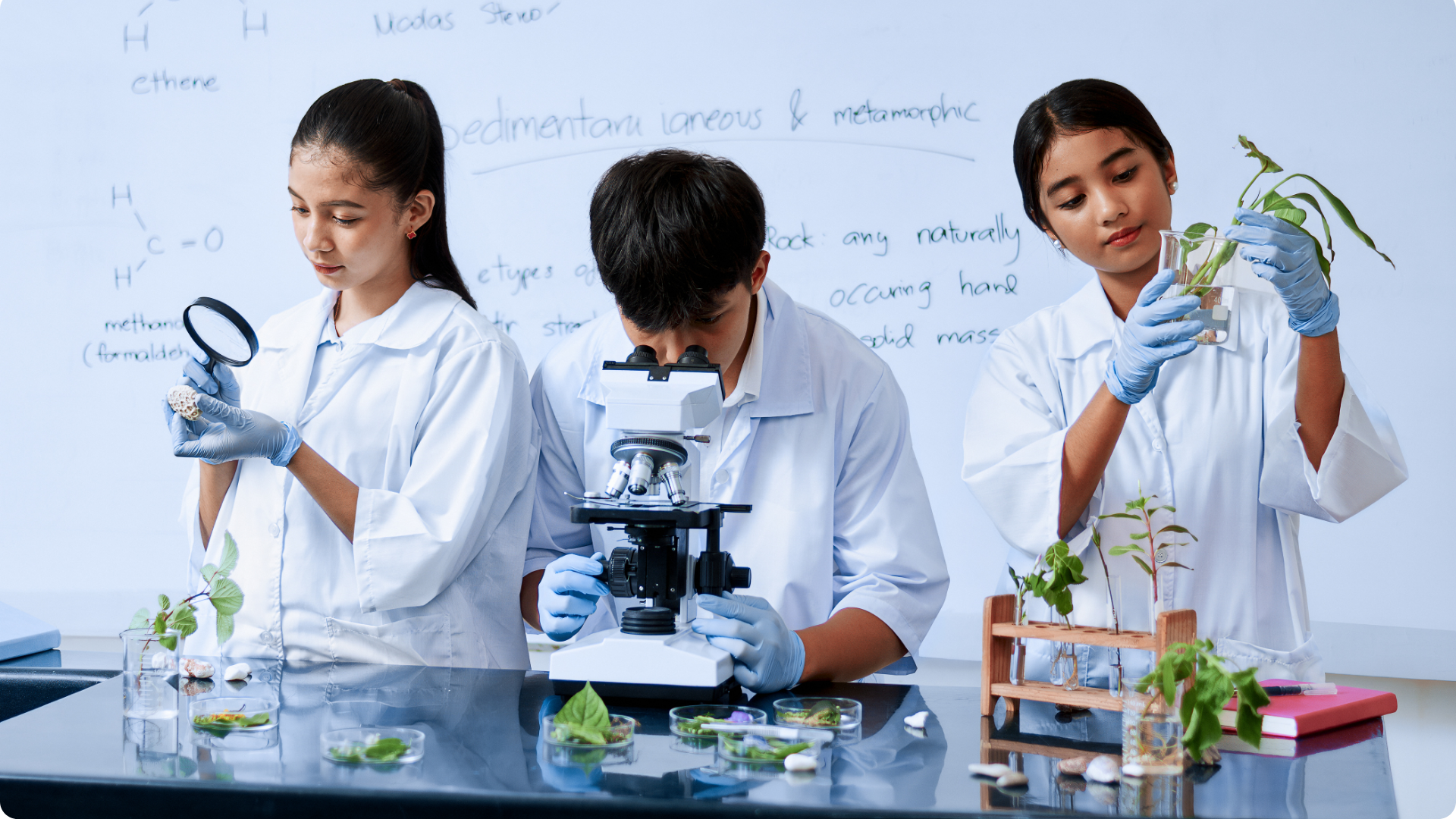 La Serena recibe este jueves un Festival de Ciencia y Tecnología gratuito para toda la comunidad