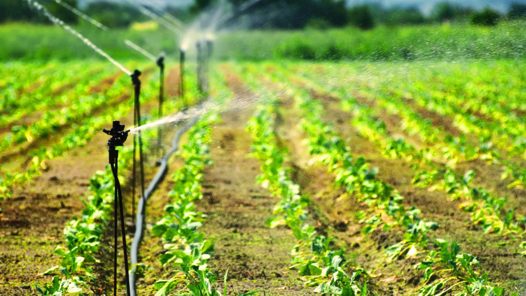 INDAP abre convocatorias de riego y desarrollo productivo para usuarios de Vicuña y comunas vecinas